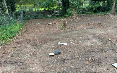Photo of Anita O.'s yard after getting tree care in Hampton, GA