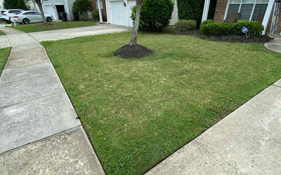 Photo of Catherine W.'s yard after getting landscaping in Barium Springs, NC