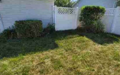 Photo of Ryan G.'s yard after getting landscaping in Glen Rock, PA