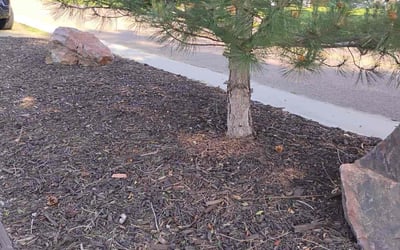 Photo of Doug S.'s yard after getting landscaping in Denver, CO
