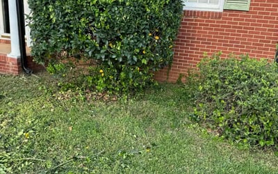 Photo of Jessica L.'s yard after getting landscaping in Turnersburg, NC