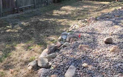 Photo of Joaquin C.'s yard after getting landscaping in Carbondale, CO