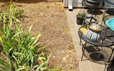 Photo of Carol N.'s yard after getting landscaping in Warrior, AL