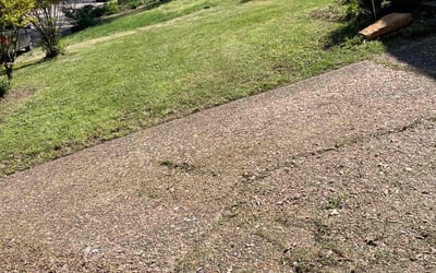 Photo of Amanda D.'s yard after getting landscaping in Little Rock, AR