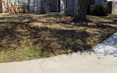Photo of Mike S.'s yard after getting landscaping in Paige, TX