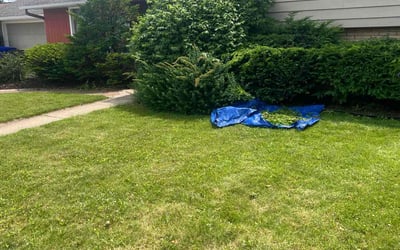 Photo of Teri M.'s yard after getting landscaping in Appleton, WI