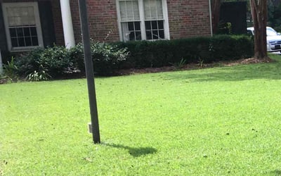 Photo of Lauren H.'s yard after getting landscaping in Springfield, LA