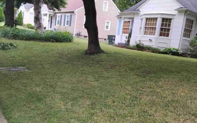 Photo of Brandon M.'s yard after getting landscaping in Memphis, TN