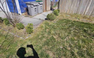 Photo of Bryan P.'s yard after getting landscaping in Nampa, ID