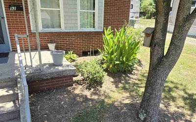 Photo of Nicole U.'s yard after getting landscaping in Canton, NC