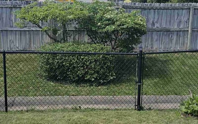Photo of Frank T.'s yard after getting landscaping in Pendleton, IN