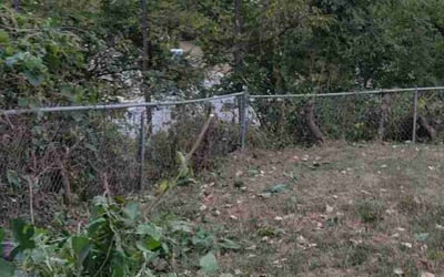 Photo of Morgan H.'s yard after getting landscaping in Elkhorn, NE