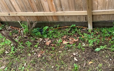 Photo of Ashley S.'s yard after getting landscaping in Stilwell, KS