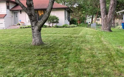 Photo of Jenny D.'s yard after getting landscaping in Scandia, MN