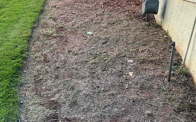 Photo of James B.'s yard after getting landscaping in Marietta, GA