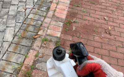 Photo of Isaiah V.'s yard after getting lawn care in Gainesville, VA