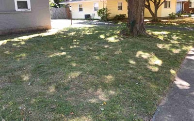 Photo of Diana D.'s yard after getting landscaping in Prospect, KY