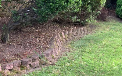 Photo of Kim K.'s yard after getting landscaping in Mathews, VA