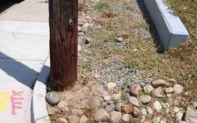 Photo of Suzanne S.'s yard after getting landscaping in Denver, CO