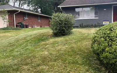 Photo of Christopher T.'s yard after getting landscaping in Aurora, IN