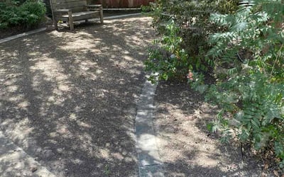 Photo of Lynnette M.'s yard after getting tree care in San Jose, CA