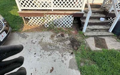 Photo of Brett L.'s yard after getting landscaping in Kearney, MO