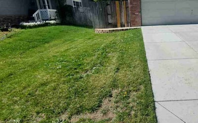 Photo of Rashonda J.'s yard after getting lawn care in Thornton, CO