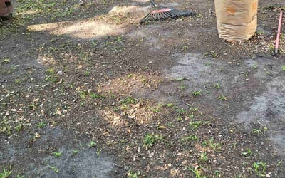 Photo of James S.'s yard after getting landscaping in Saint George, SC