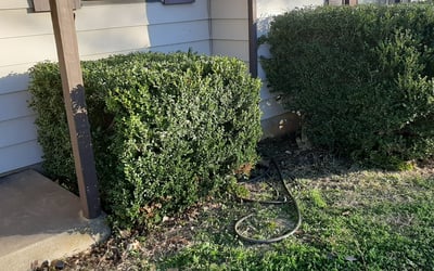 Photo of Luis T.'s yard after getting landscaping in Glen Rose, TX