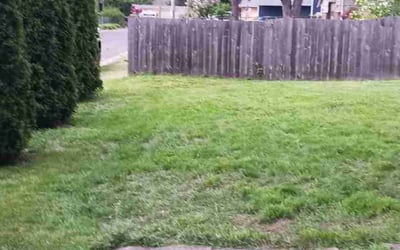 Photo of Angel G.'s yard after getting tree care in Sandy, OR
