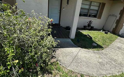 Photo of Erica F.'s yard after getting landscaping in Clearwater, FL