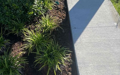 Photo of William S.'s yard after getting landscaping in Minneola, FL