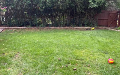 Photo of Alice H.'s yard after getting tree care in Zion, IL