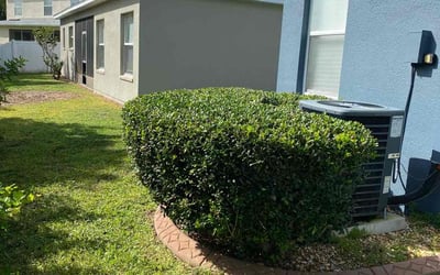 Photo of Jason B.'s yard after getting landscaping in Durant, FL