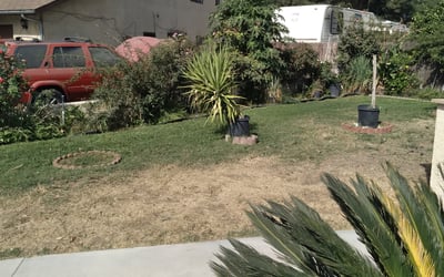 Photo of Marylen A.'s yard after getting landscaping in Rancho Mirage, CA