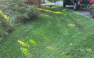 Photo of Jeanne H.'s yard after getting landscaping in Apex, NC