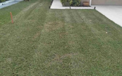 Photo of Stephanie C.'s yard after getting landscaping in Indian Lake Estates, FL