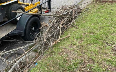 Photo of Michael C.'s yard after getting landscaping in Augusta, GA
