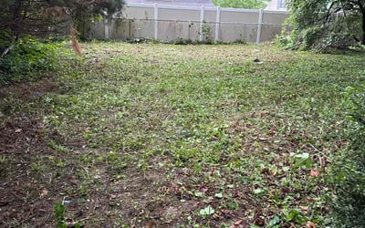 Photo of Cheryl H.'s yard after getting landscaping in Schwenksville, PA
