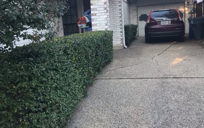 Photo of Tina R.'s yard after getting landscaping in Merit, TX