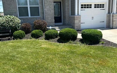 Photo of Kevin R.'s yard after getting tree care in Anderson, IN