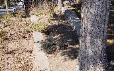 Photo of Enrique C.'s yard after getting landscaping in Colville, WA