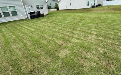 Photo of George R.'s yard after getting landscaping in Pineville, NC