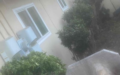 Photo of Samuel B.'s yard after getting landscaping in Alpine, CA
