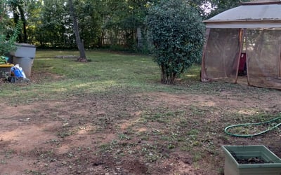 Photo of Kimberly B.'s yard after getting landscaping in Paw Creek, NC