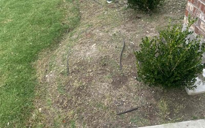 Photo of Josh G.'s yard after getting landscaping in Italy, TX