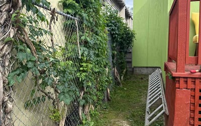 Photo of Precious J.'s yard after getting landscaping in Castro Valley, CA