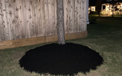 Photo of Ryan G.'s yard after getting landscaping in Liverpool, TX