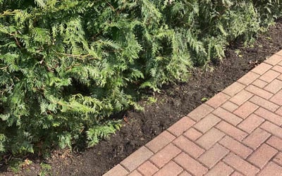 Photo of Arthur P.'s yard after getting landscaping in Wellington, OH