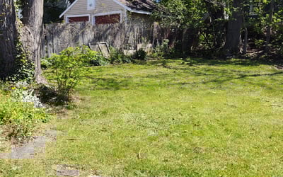 Photo of Barbara M.'s yard after getting landscaping in Oneida, NY